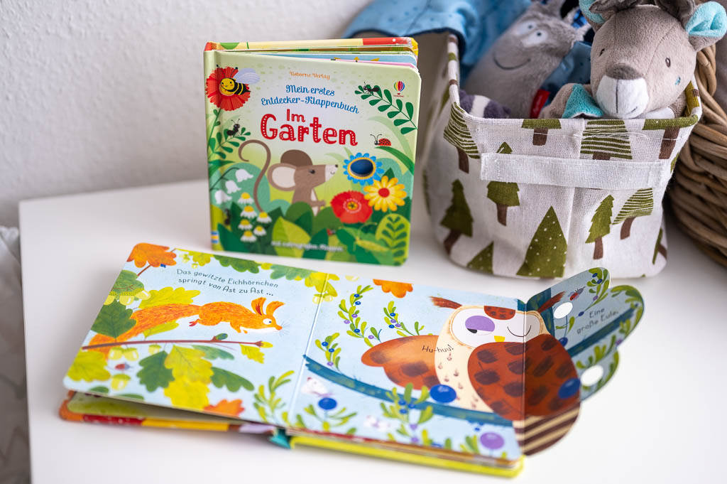 Usborne Entdecker-Klappenbuch